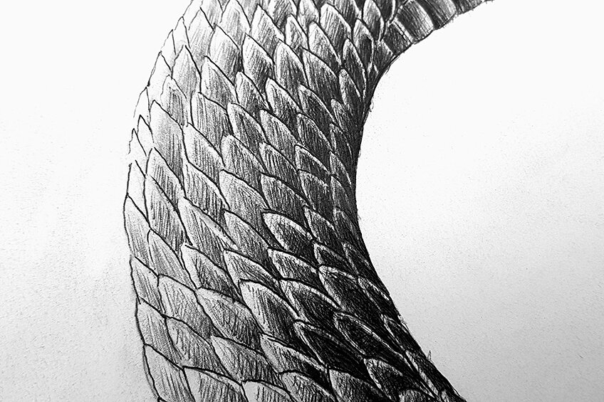 snake scales pattern