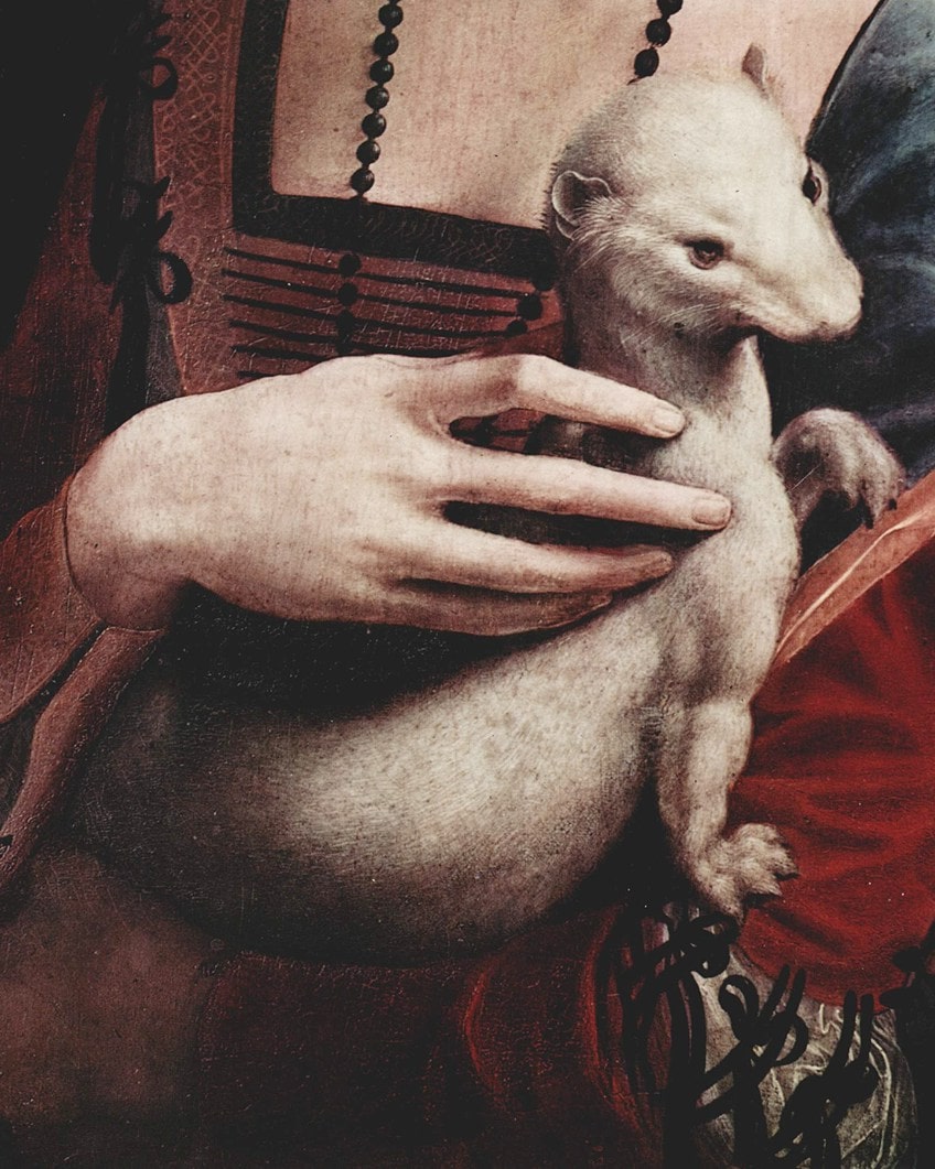 Details of the Lady Holding a Ferret Painting