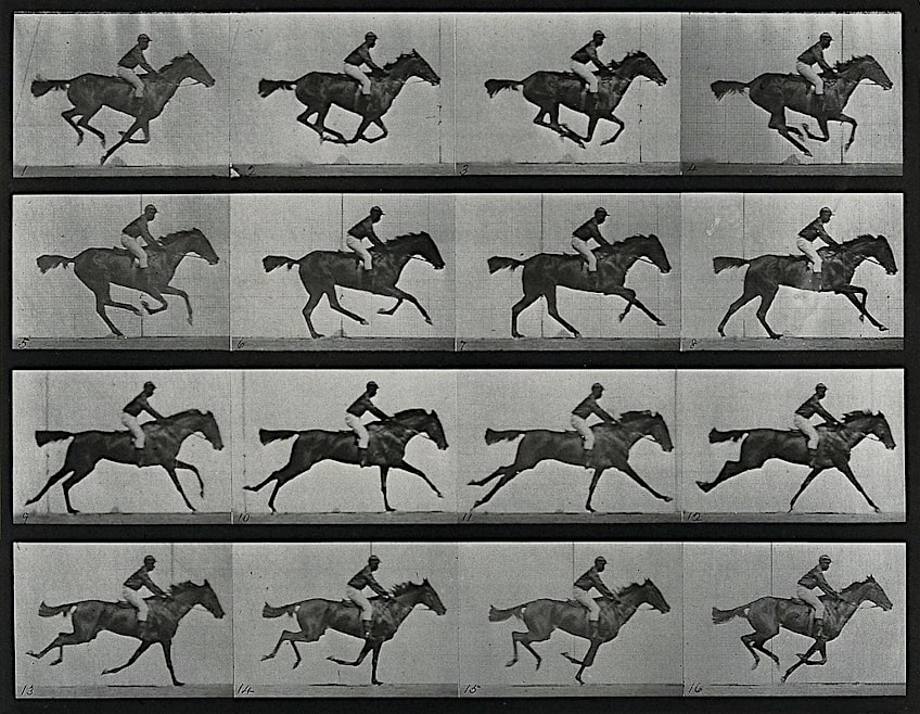 Galloping Horse by Eadweard Muybridge