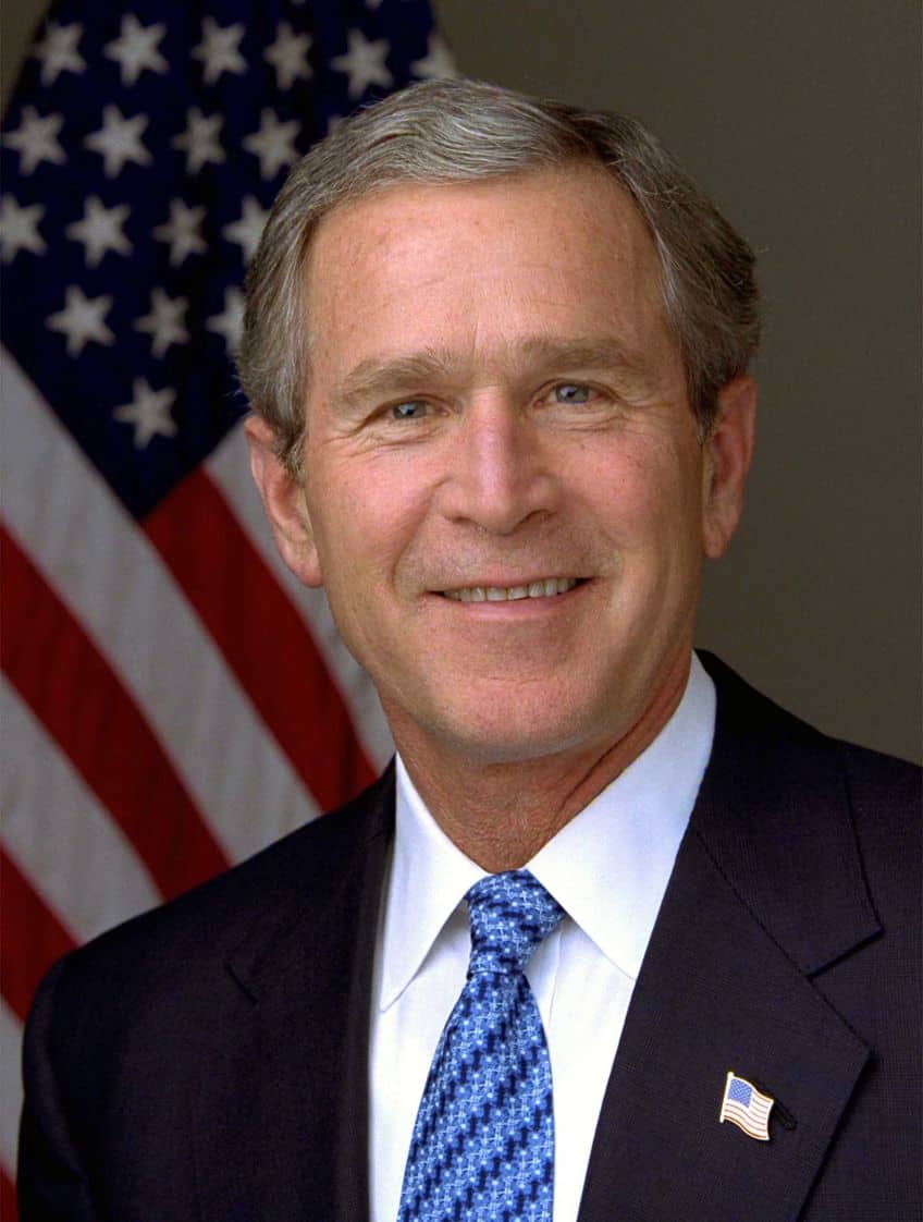 George Bush Artwork
