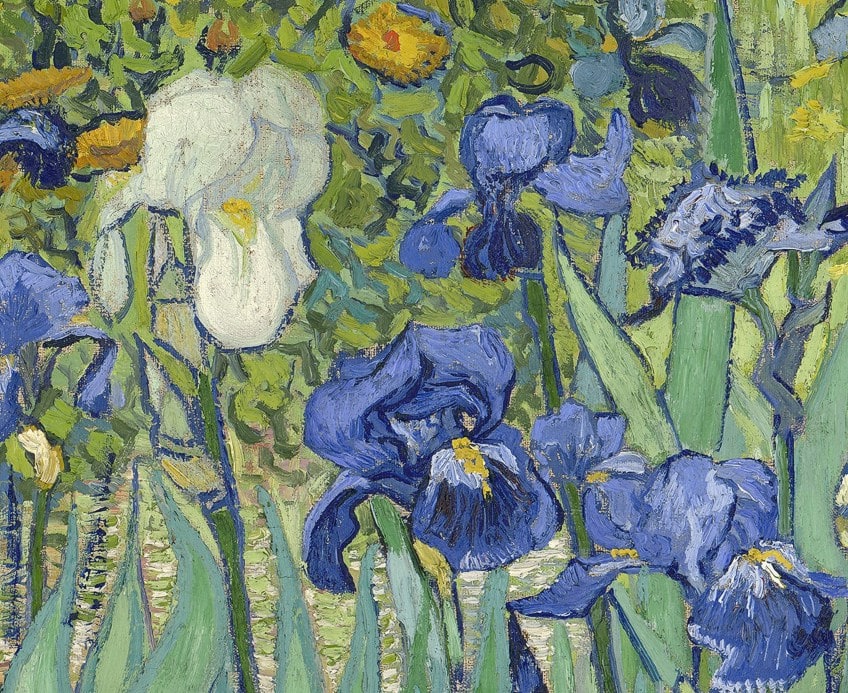 Irises Painting Analysis