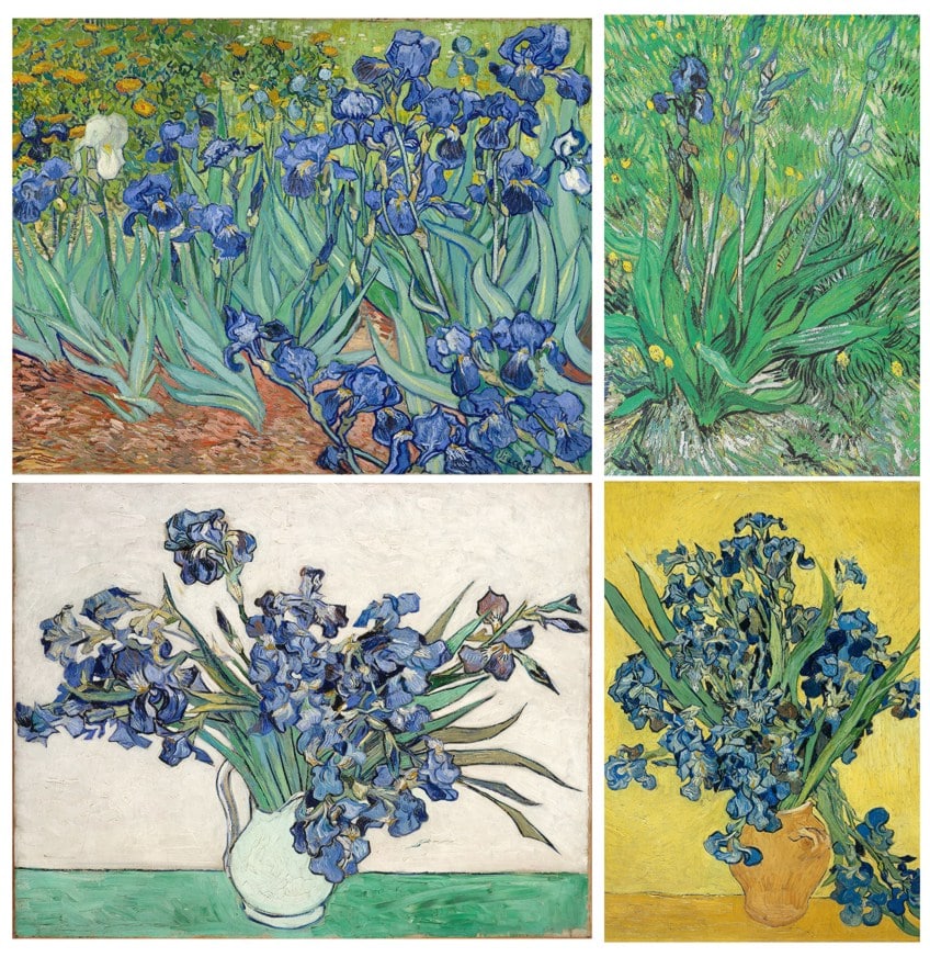 Irises Painting Series