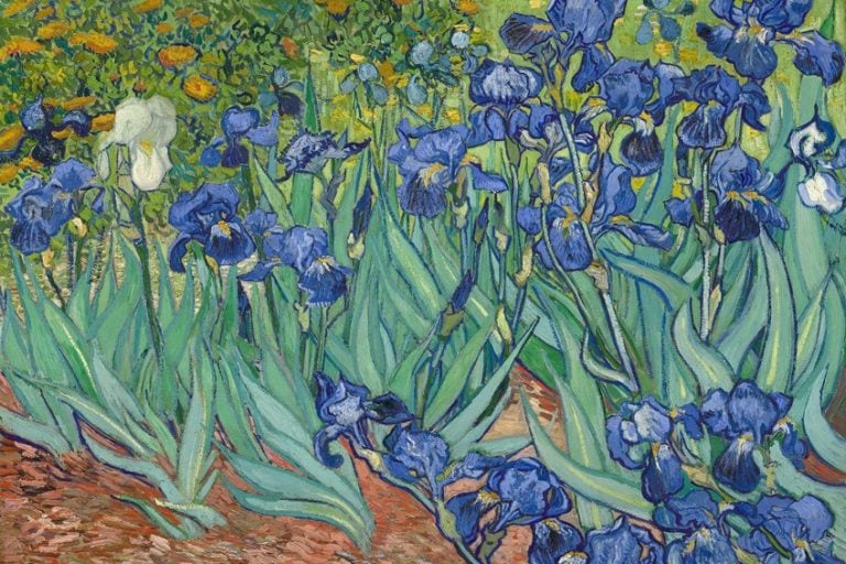 “Irises” by Vincent van Gogh – Studying the Famed “Irises” Painting
