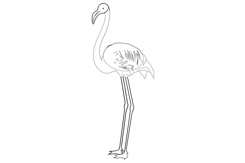 Step 4 Flamingo Illustration
