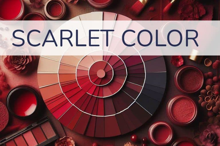 Scarlet Color – A Deep Dive Into the Beautiful Scarlet Red Shade
