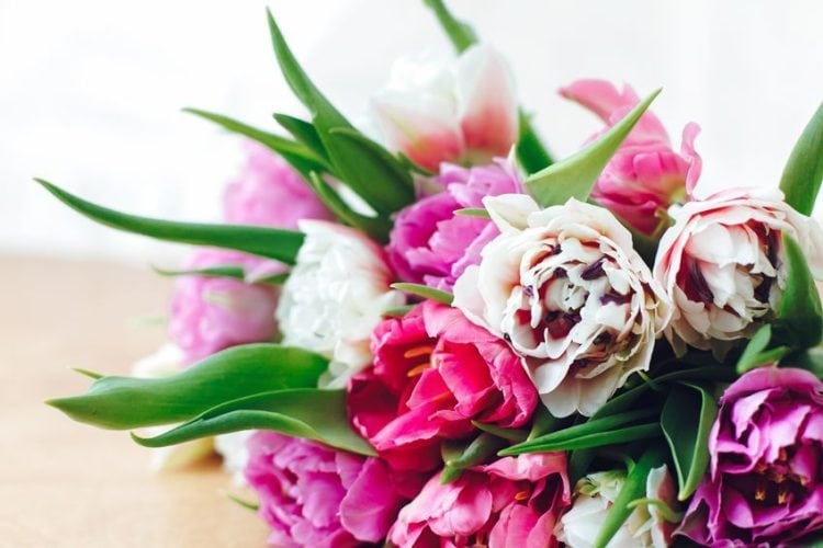 What Colors Go With Sage Green? Sage Green Complements