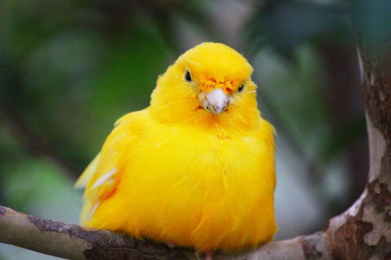 Unique Color Names – Our 30+ Curated List