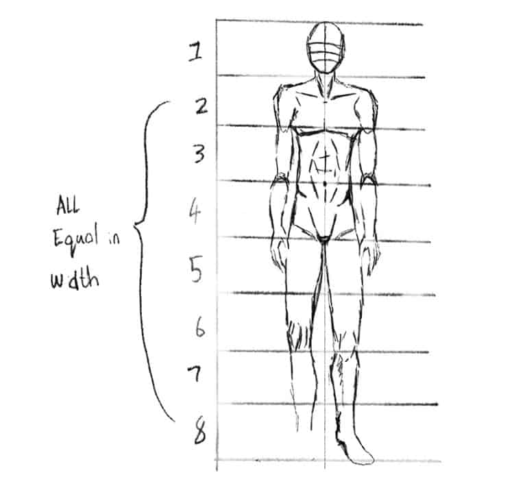 Male Drawing Poses - Learn to Sketch Male Anatomy Poses