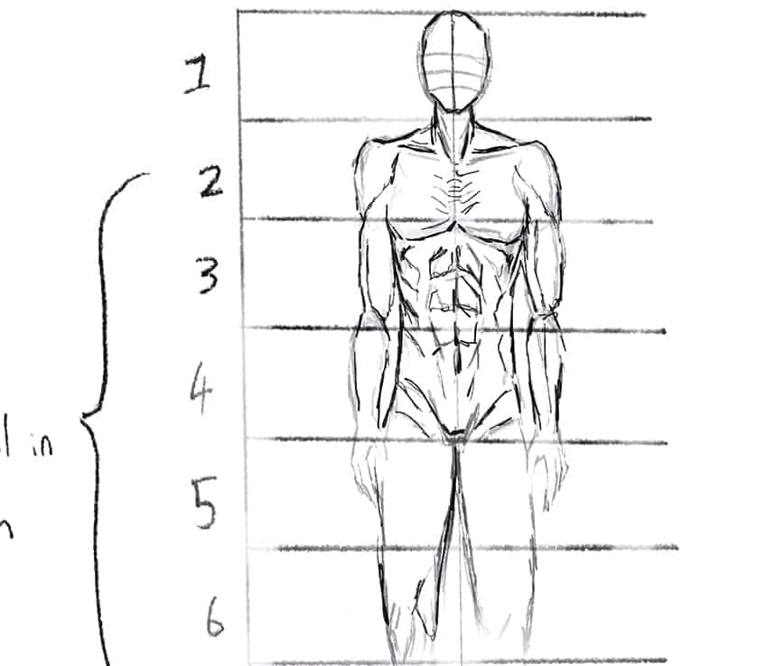 How To Draw Male Body 2626