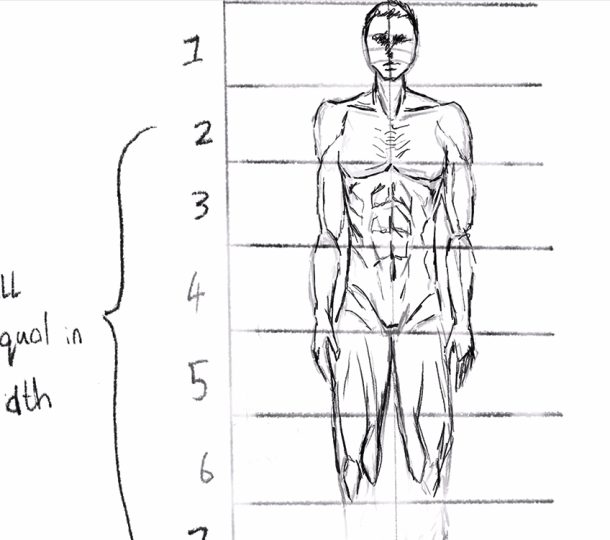 Male Drawing Poses Learn to Sketch Male Anatomy Poses