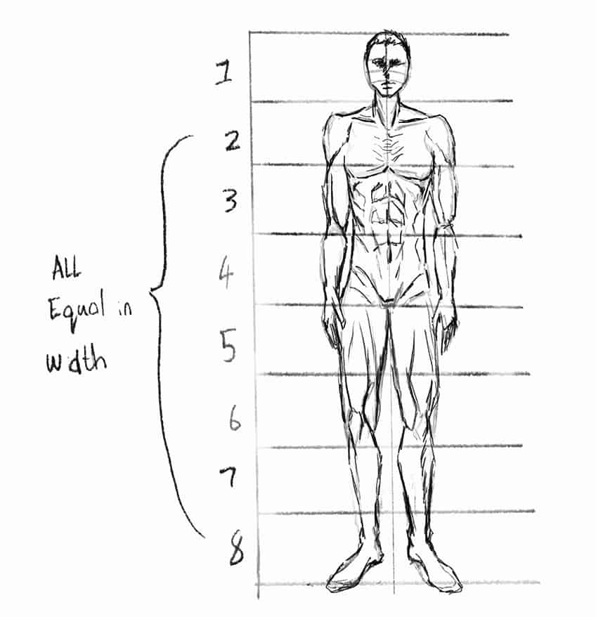 ArtStation - Male Anatomy Turn (hand drawn)