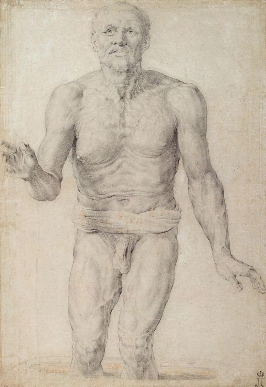 12 Masters of Drawing From Leonardo da Vinci to Picasso