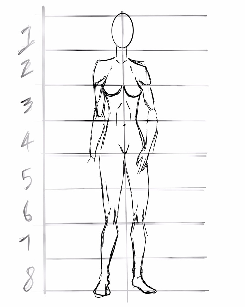 anime body anatomy 15
