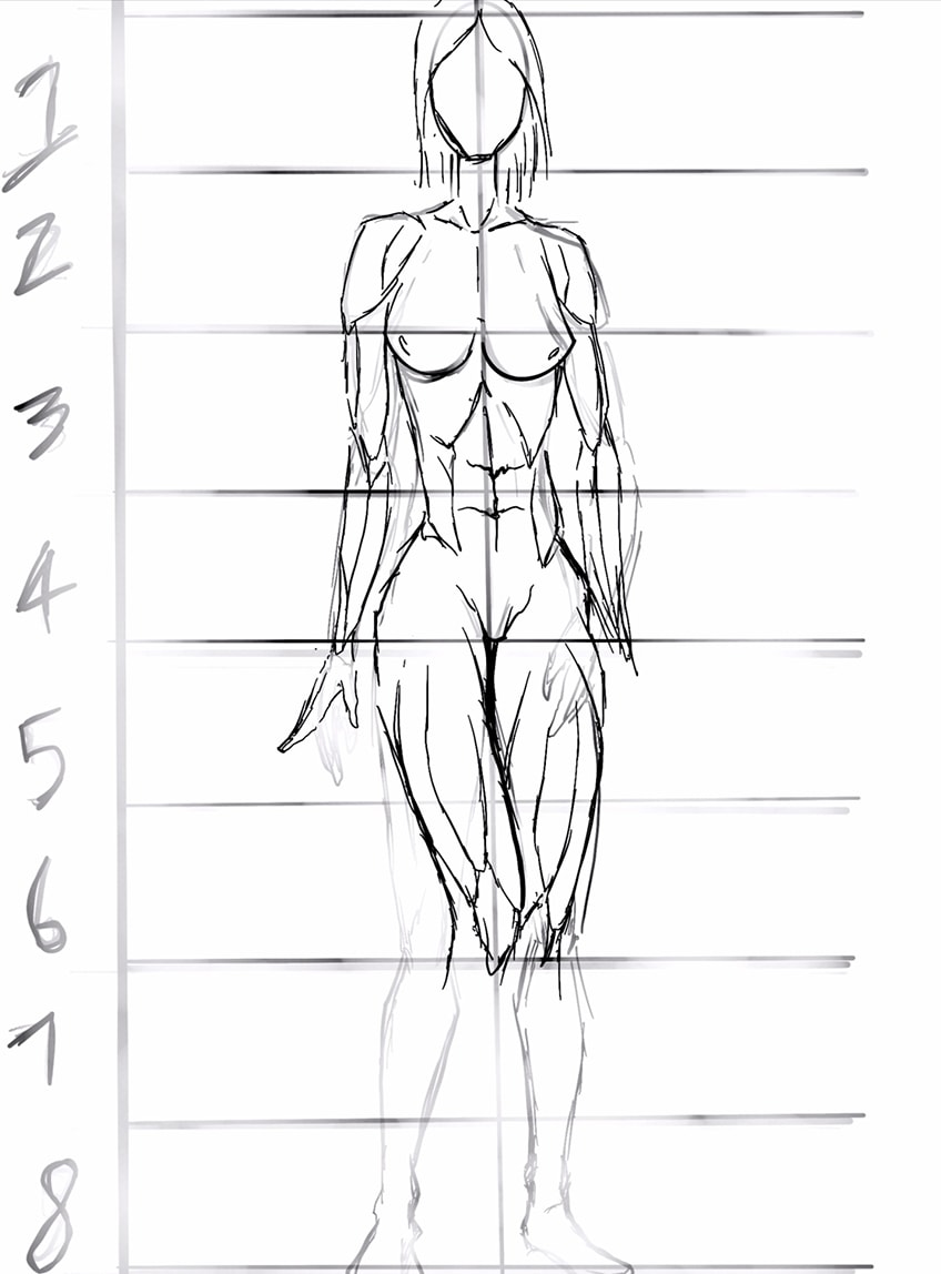 ArtStation - Accurate anatomy of an anime girl-demhanvico.com.vn