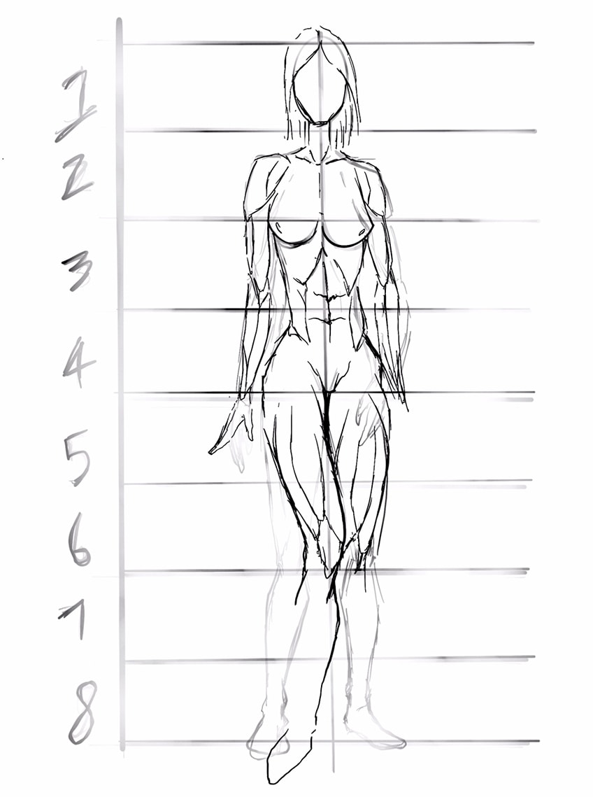 anime body anatomy 22