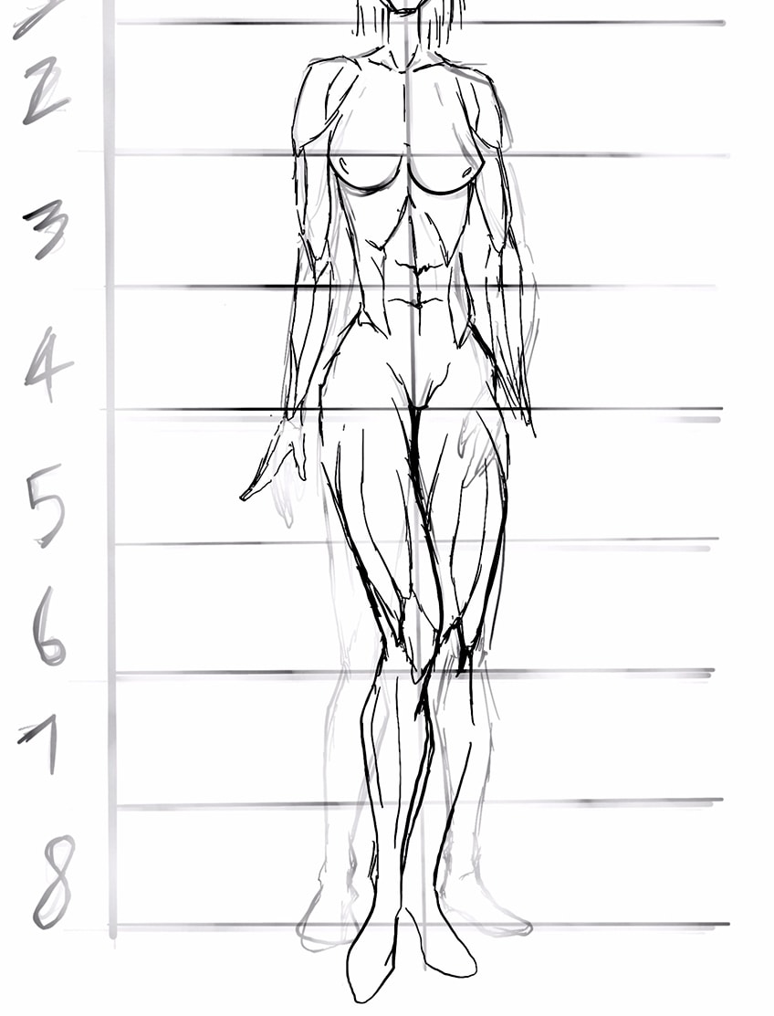 anime body anatomy 23