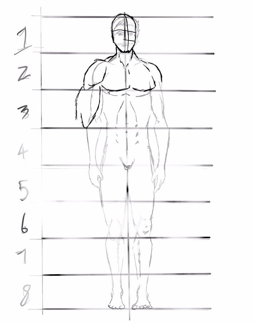 anime body anatomy 25