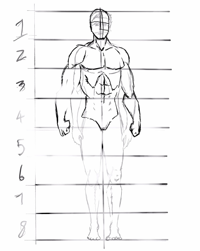 Anime Anatomy Drawing – Create the Body Base of Your Anime-demhanvico.com.vn