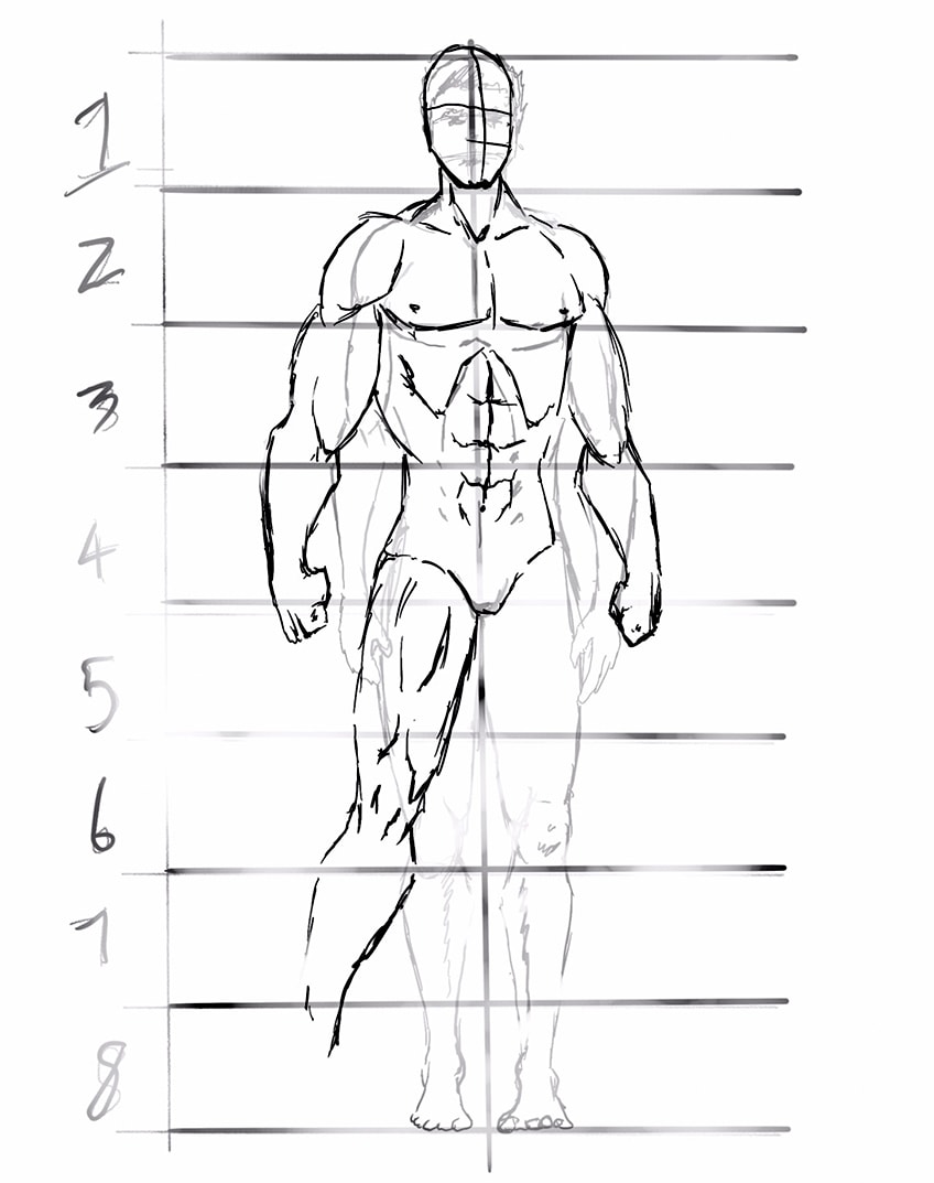 anime body anatomy 28
