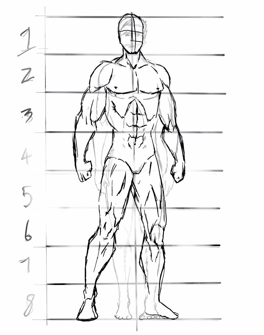 anime body anatomy 29