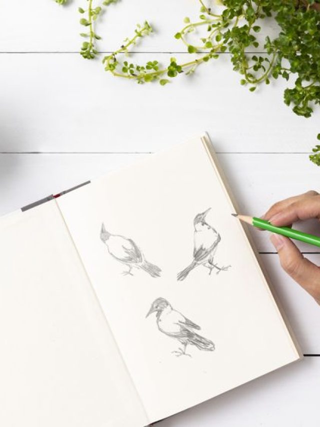 Simple Drawing Ideas – To Boost Your Creativity