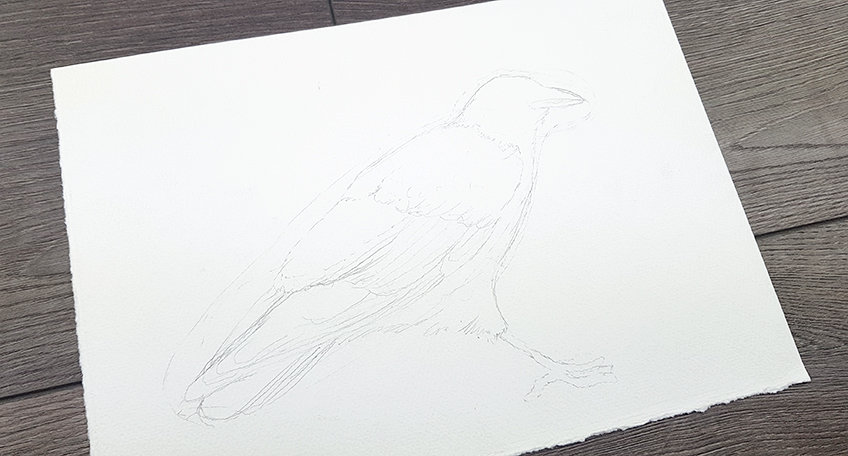 crow drawing 05