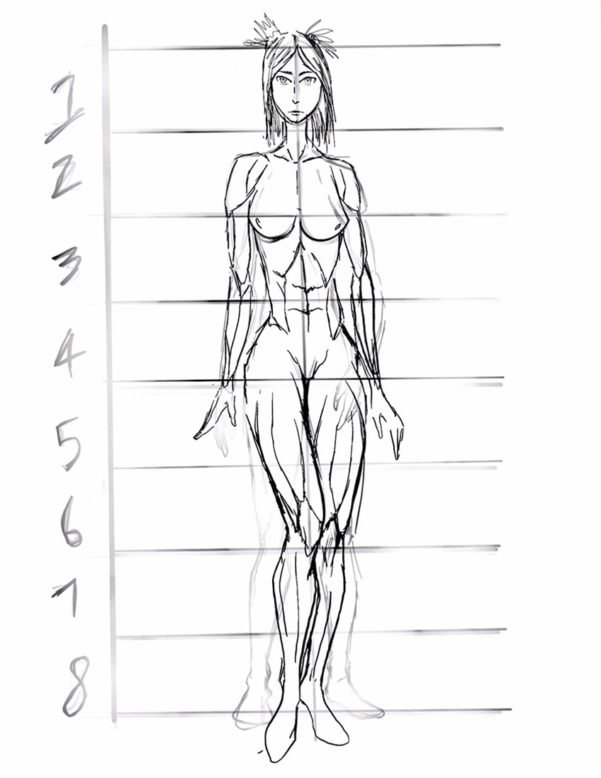 female anatomy anime