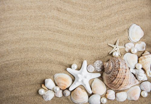 Sand Color – Using Sandy Colors in Art and Design