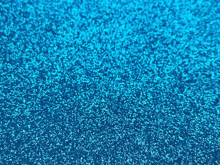 Peacock Blue What Colors Go With Peacock Blue?