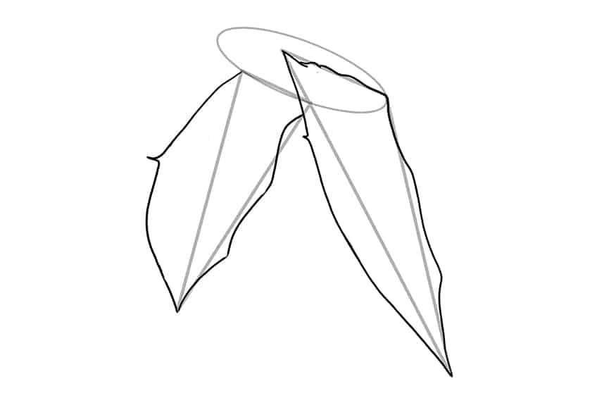Bat Drawing 03