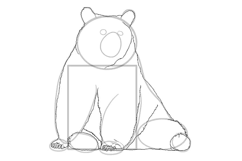Bear Drawing 08