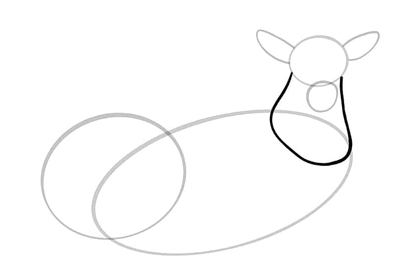 Deer Drawing 05
