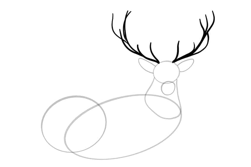 Deer Drawing 06