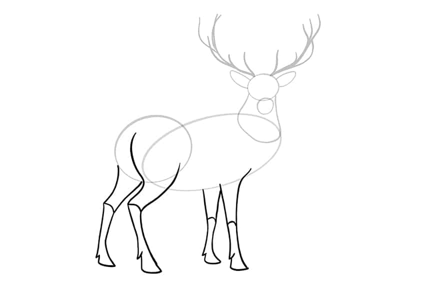 Deer I Animal Drawing Ink drawing by Ricardo Machado | Artfinder