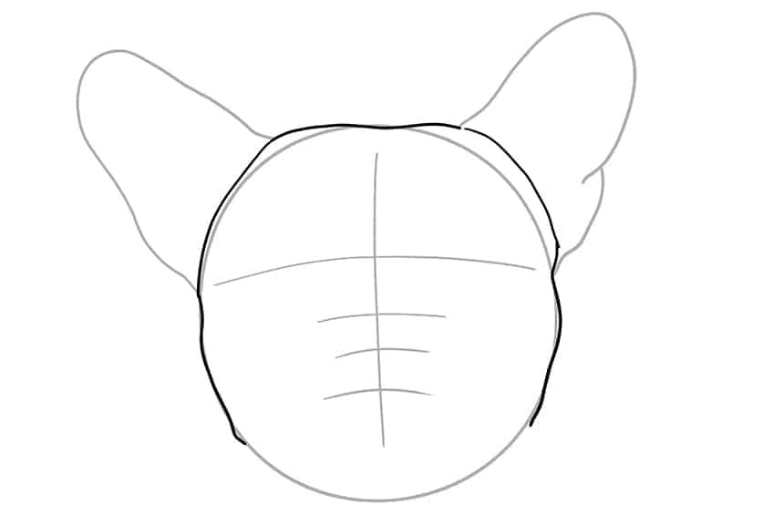 Dog Face Drawing 04