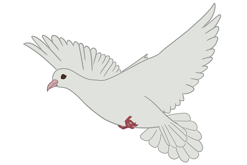 Dove Drawing 7