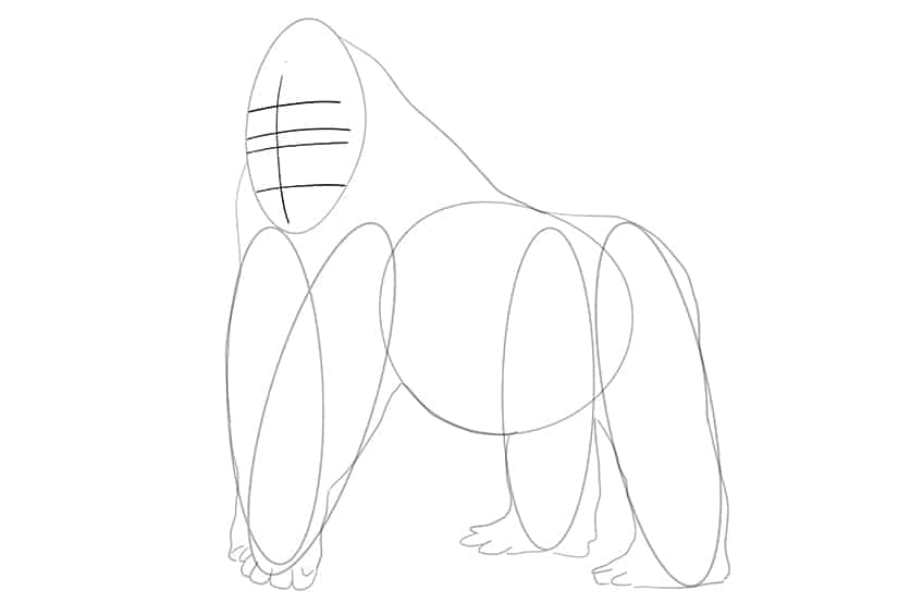 Gorilla Drawing 04