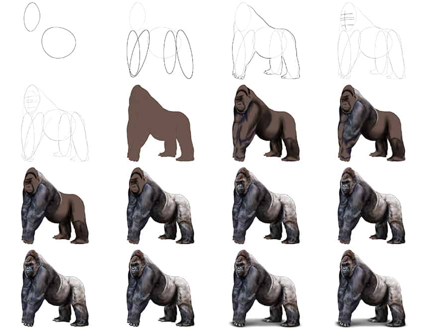 Gorilla Drawing Collage
