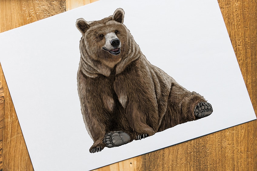 Easy Drawing Guides - Grizzly Bear Drawing Lesson. Free Online Drawing  Tutorial for Kids. Get the Free Printable Step by Step Drawing Instructions  on https://bit.ly/3euz1HG . #GrizzlyBear #LearnToDraw #ArtProject | Facebook