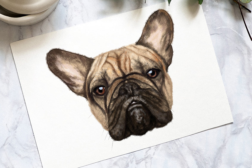 Custom Pet Portraits Australia – Mark Kingston