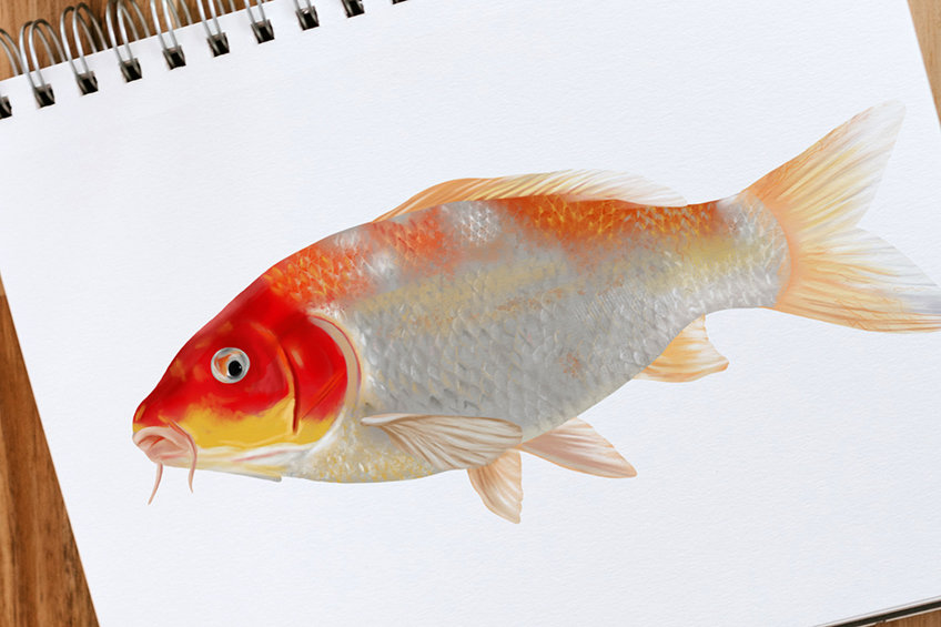 Marine fish.Hand drawn sketch exotic fish, Stock Vector | Adobe Stock