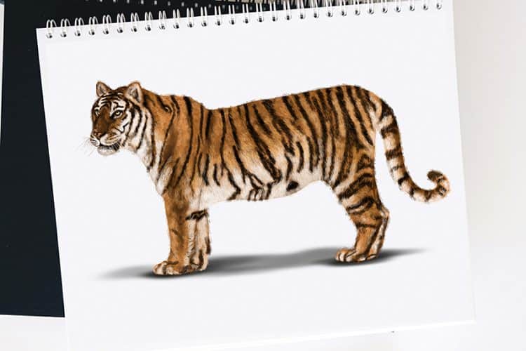 Hard Objects To Draw Hard Things to Draw - Challenging Yourself to Difficult Drawings