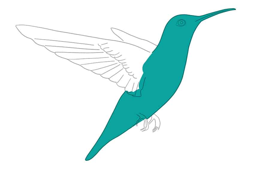 Hummingbird Drawing 05