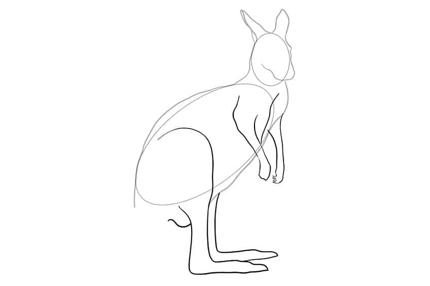 Kangaroo Drawing 03