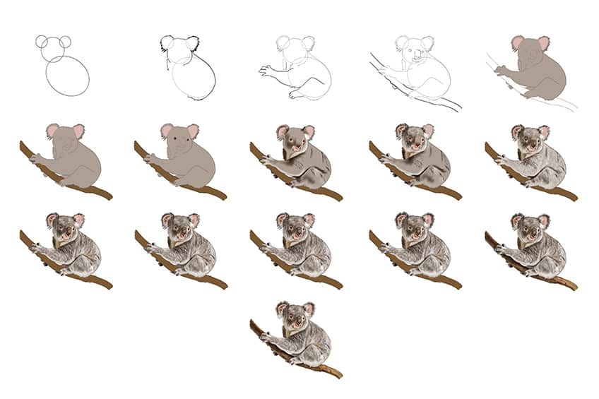Koala Drawing Collage