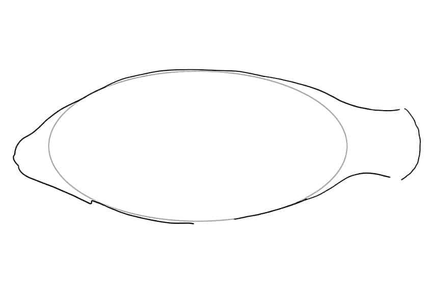 Koi Fish Drawing 02