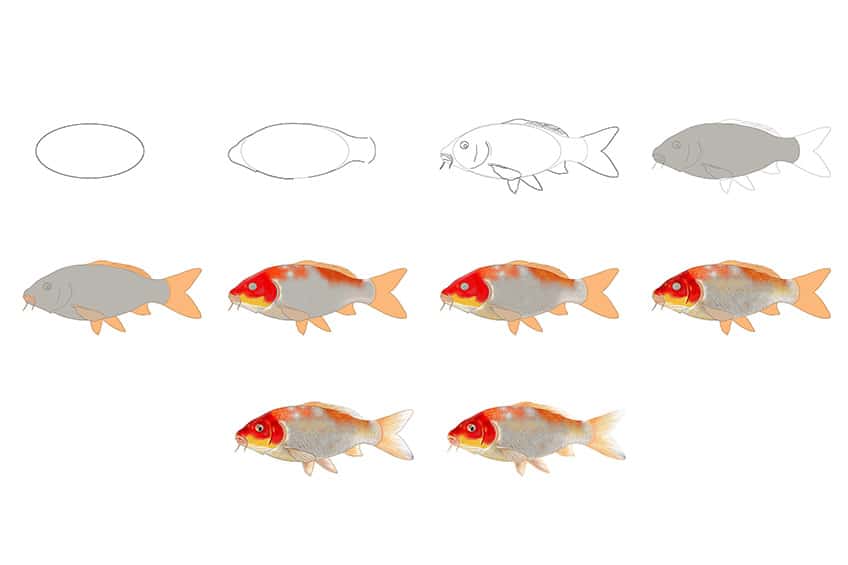 Koi Fish Drawing Collage