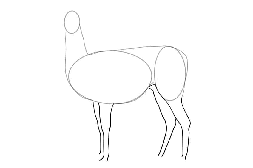 Llama Drawing 03