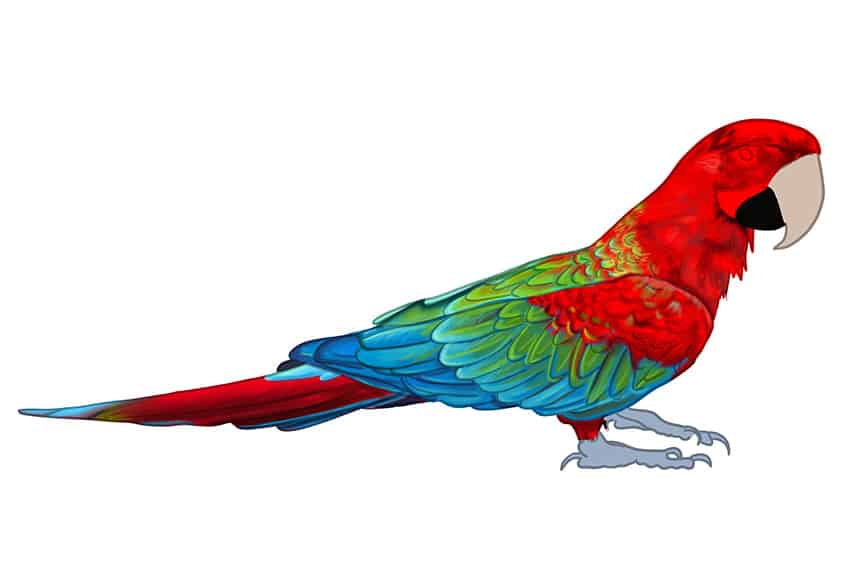 Premium Photo | Brightly colored pencil drawing of a parrot with a colorful  background generative ai