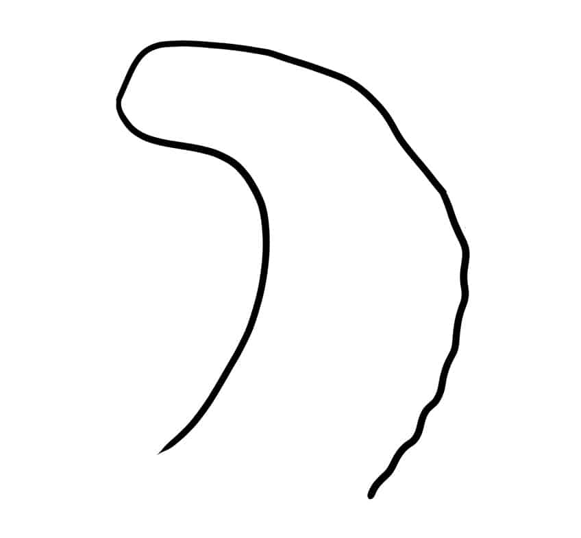 easy snake head drawings